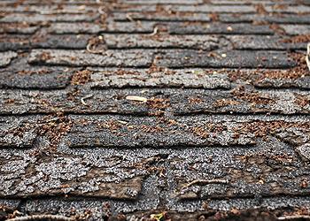 CCC Roofing Images
