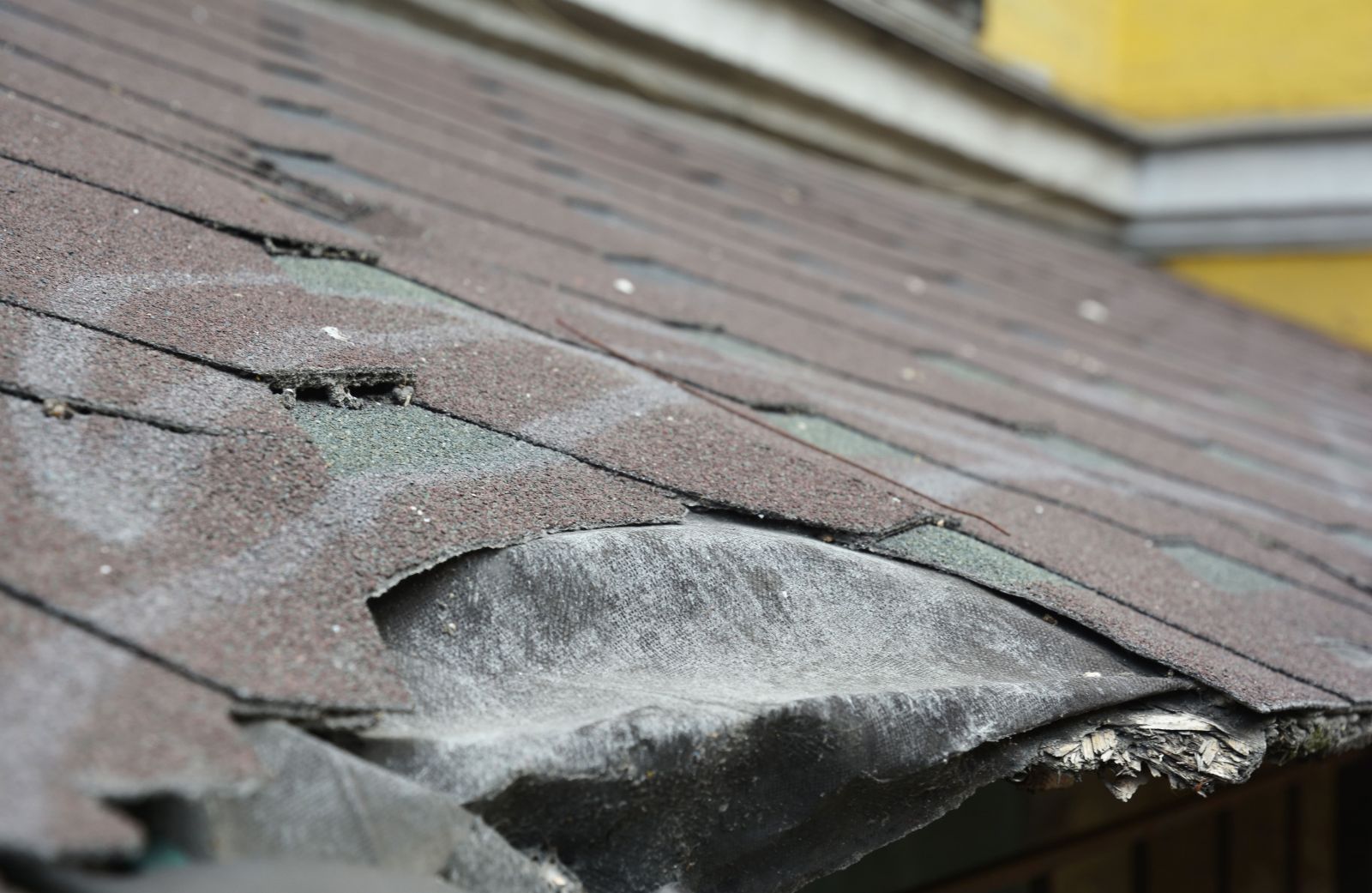 CCC Roofing Images