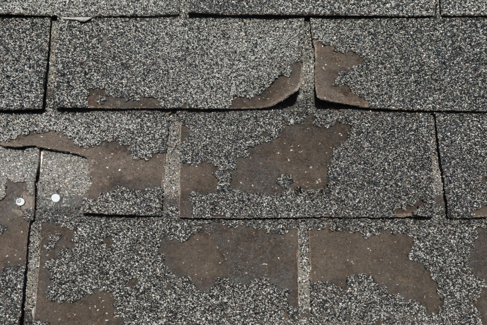 CCC Roofing Images